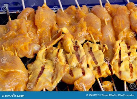 Turkey meat stock photo. Image of outdoors, cuisine, skewer - 15633032