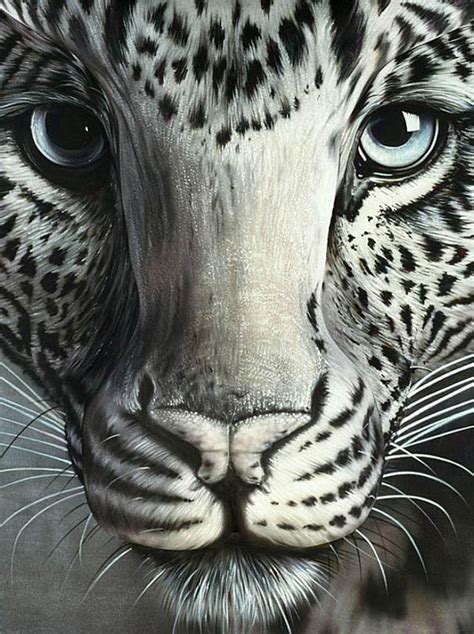 Amazing Body Art Illusions by Craig Tracy | Bored Panda