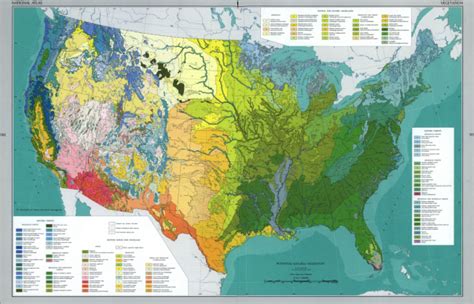 Usa Vegetation Map | Kinderzimmer 2018