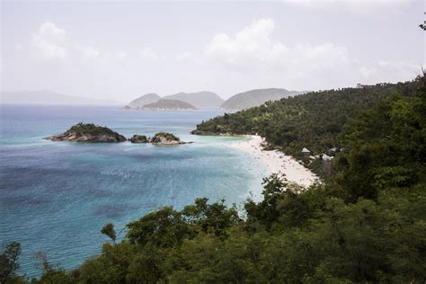 Keeping an Eye on the Coral – Coral Reef Monitoring at Virgin Islands ...