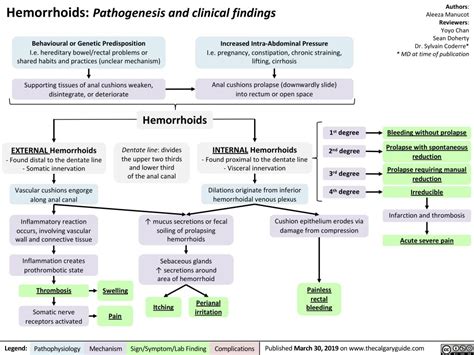 Hemorrhoids – Pathogenesis and Clinical Findings | Calgary Guide