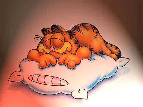 Garfield Sleeping Wallpaper