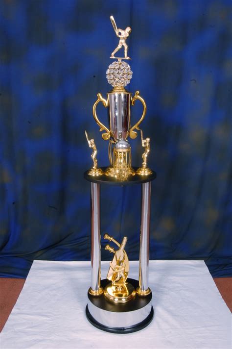 Big Trophy in Moradabad, Uttar Pradesh, India - OM SAI INDUSTRIES