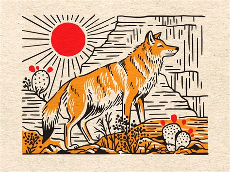 Coyote by Cristina Moore on Dribbble