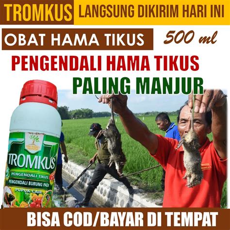 Jual (TERLARIS) TROMKUS Pembasmi Hama Tikus dan Burung Pipit - Obat ...