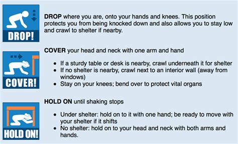 Drop, Cover, and Hold On! | NYU School of Global Public Health