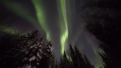 Northern Lights | Travel Yukon - Yukon, Canada | Official Tourism ...