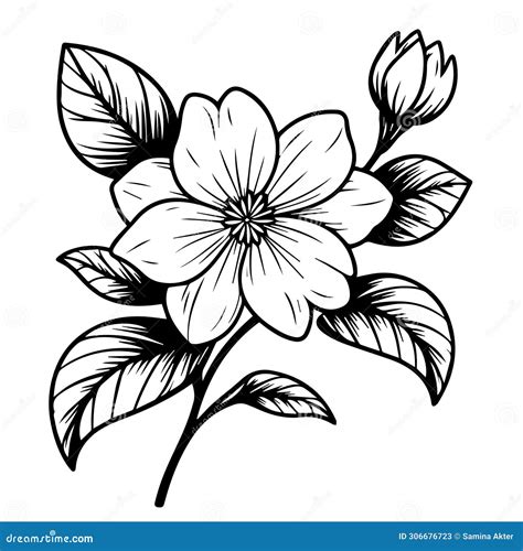 Arabian Jasmine Flower Tattoo, Minimalist Outline Jasmine Flower Tattoo ...