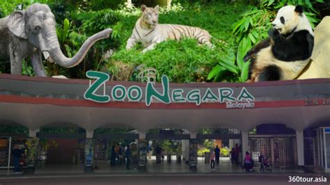 Zoo Negara Malaysia 2021 | Book TicketsToDo Online