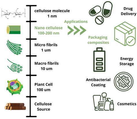 Polymers | Free Full-Text | Processing, Properties, Modifications, and Environmental Impact of ...