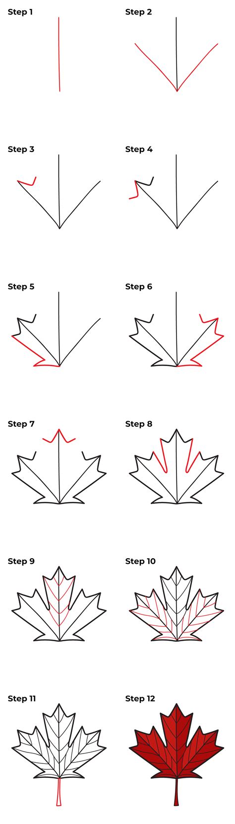 How to Draw a Canadian Maple Leaf | Maple leaf art, Maple leaf drawing ...