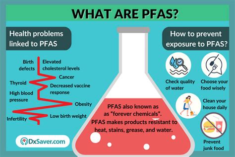 PFAS Blood test: What are PFAS, its risk factors, and testing – DxSaver.com