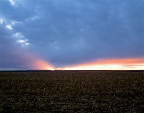 Corn Field Sunset video on Behance