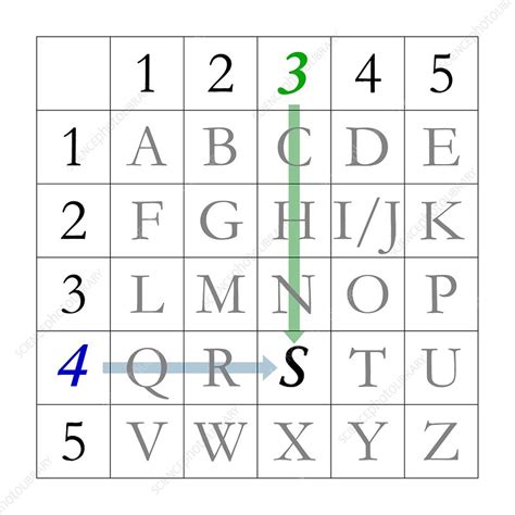 Polybius square - Stock Image - V400/0160 - Science Photo Library