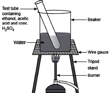 What is an ‘esterification’ reaction? Describe an activity to show esterification. - Sarthaks ...