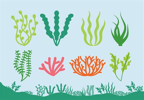 Ocean Plants Clipart