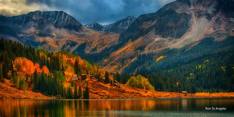 Aspen Trees a Colorful Colorado Experience