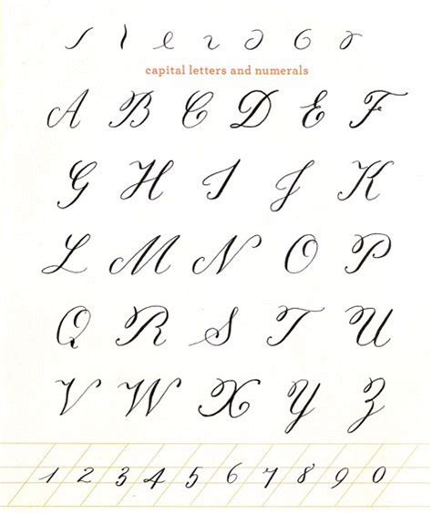 calligraphy alphabets | Calligraphy alphabet, Calligraphy letters ...