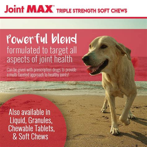 Glucosamine Chondroitin for dogs. Help your Dogs improve Mobility and… | by Healthy Tails | Medium