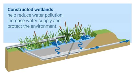 Types Of Constructed Wetlands