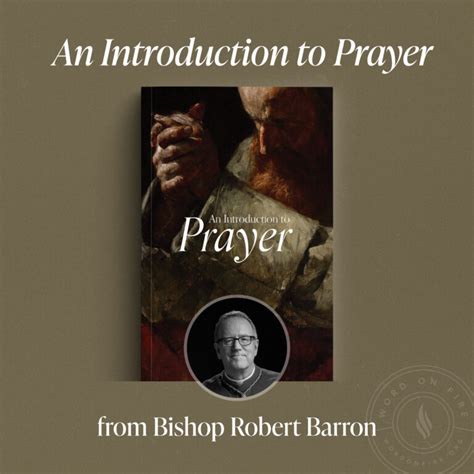 The Rosary (Luminous Mysteries) with Bishop Robert Barron - Word on Fire