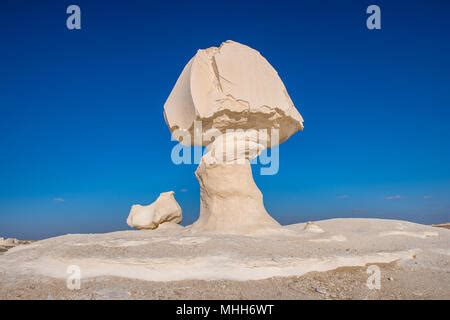 Tree and a chicken limestone formation at the Western White Desert National Park of Egypt Stock ...