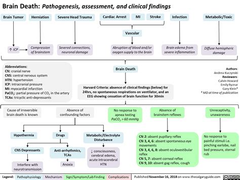 Brain Death: Pathogenesis, assessment, and clinical findings | Calgary Guide