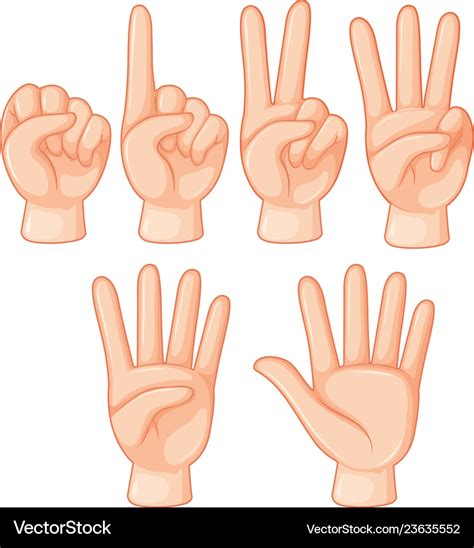 Set of hand gesture Royalty Free Vector Image - VectorStock