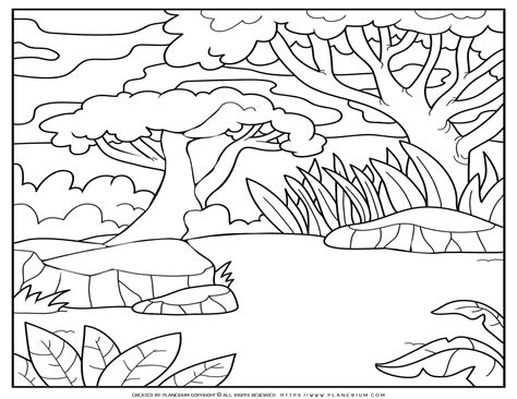 Forest Coloring Page | Planerium