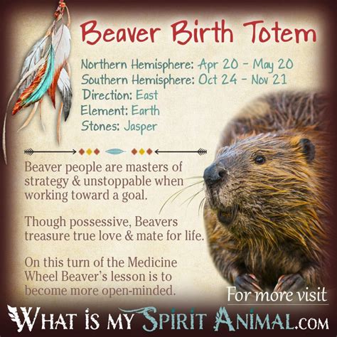 Native American Zodiac & Astrology | Birth Signs & Totems