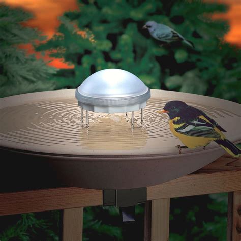 Outdoor Bird Baths | Shop the Best Backyard Bird Baths & Accessories ...