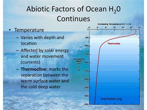 PPT - Physical Properties of Ocean Water PowerPoint Presentation, free download - ID:6414417