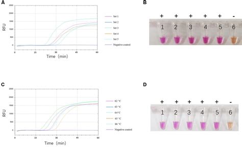 Frontiers | Development of a Potential Penside Colorimetric LAMP Assay Using Neutral Red for ...