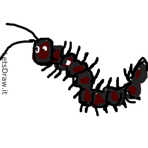 How to draw centipede / dgcax44sa.png / LetsDrawIt