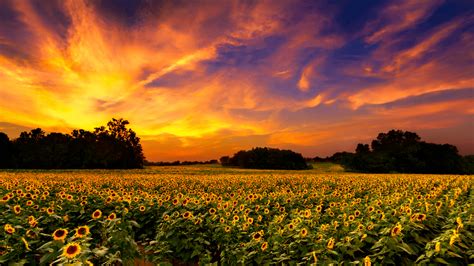 Best National Parks In Kansas - For Her About Her By Her