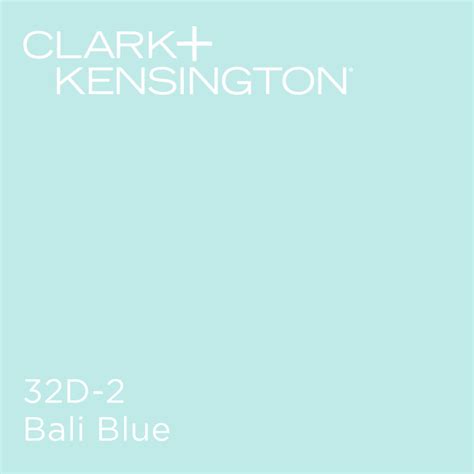 Bali Blue by Clark+Kensington | Blue bathroom paint, Painting bathroom, Blue bedroom