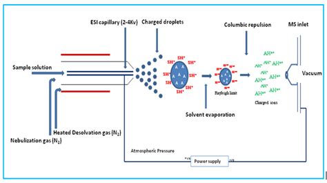 Mass Spectrometry Introduction | Department of Chemistry | University ...