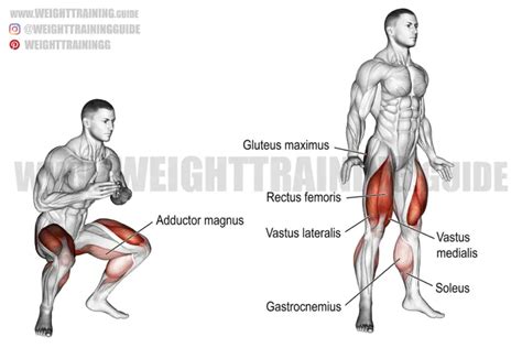 Jump squat exercise instructions and video | Weight Training Guide