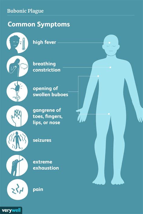 Bubonic Plague Symptoms Buboes