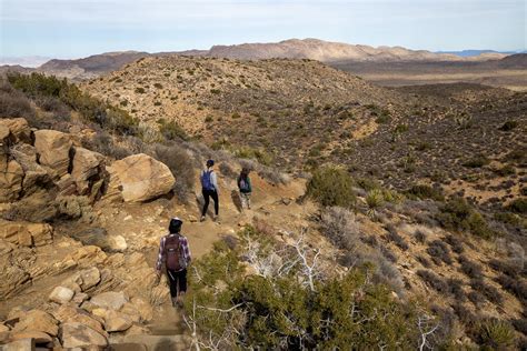 Best Joshua Tree Hikes for First-Time Visitors