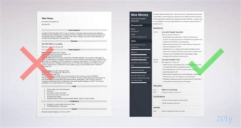 Accounts Payable Resume Examples & Writing Guide [2024]
