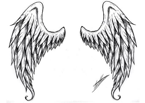 realistic angel wings drawing - Clip Art Library