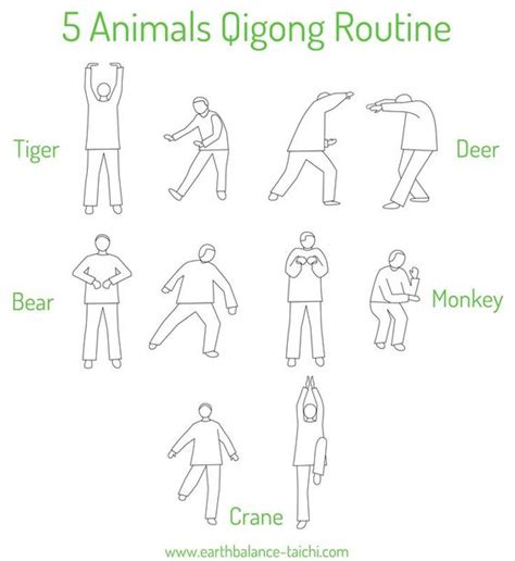 Qigong Exercises For Beginners