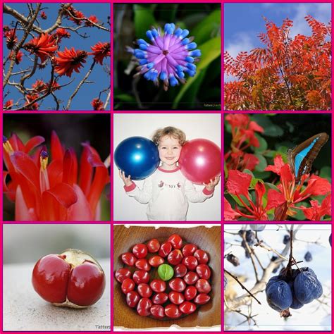 Blue and red: Happy 10th birthday, Flickr | I am too busy (w… | Flickr