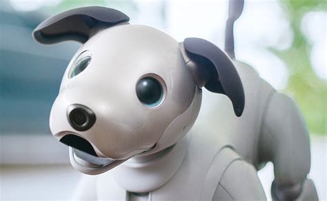 This Sony aibo Is a Cute Intelligent Dog Robot Pet