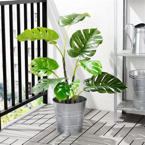 FEJKA artificial potted plant, indoor/outdoor monstera, 7 ½" - IKEA