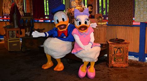 Daisy Duck and Donald Duck meet and greet at Animal Kingdom's Discovery ...