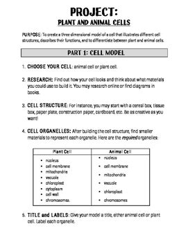 3d Cell Model Project Rubric