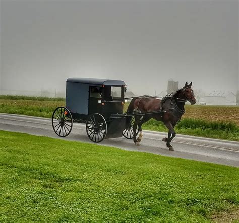 Amish Buggy | Smithsonian Photo Contest | Smithsonian Magazine