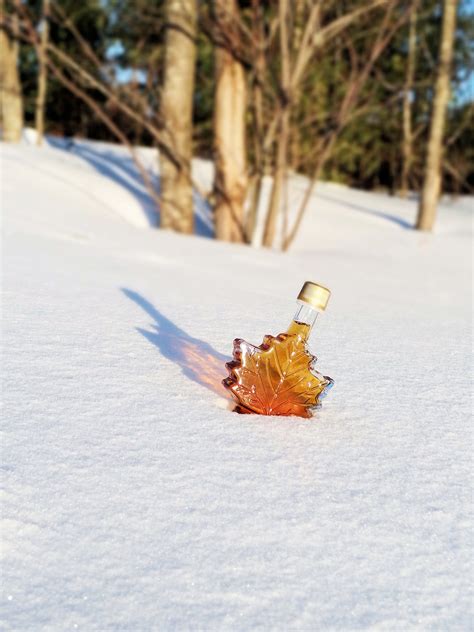 The Indigenous History of Maple Syrup